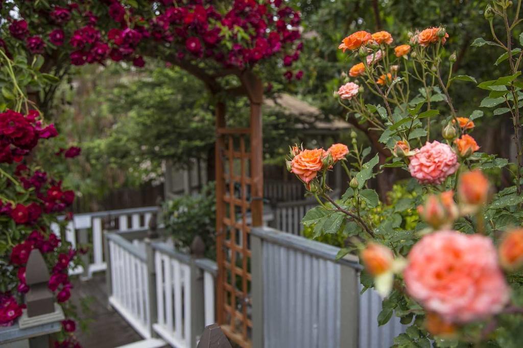 Forfriends Inn Wine Country Bed And Breakfast Santa Ynez Zewnętrze zdjęcie